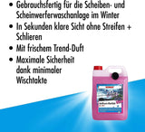 SONAX ANTIFROST+KLARSICHT 5L Zirbe bis zu -20°C Scheiben Frostschutz